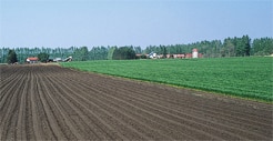 Agricultura